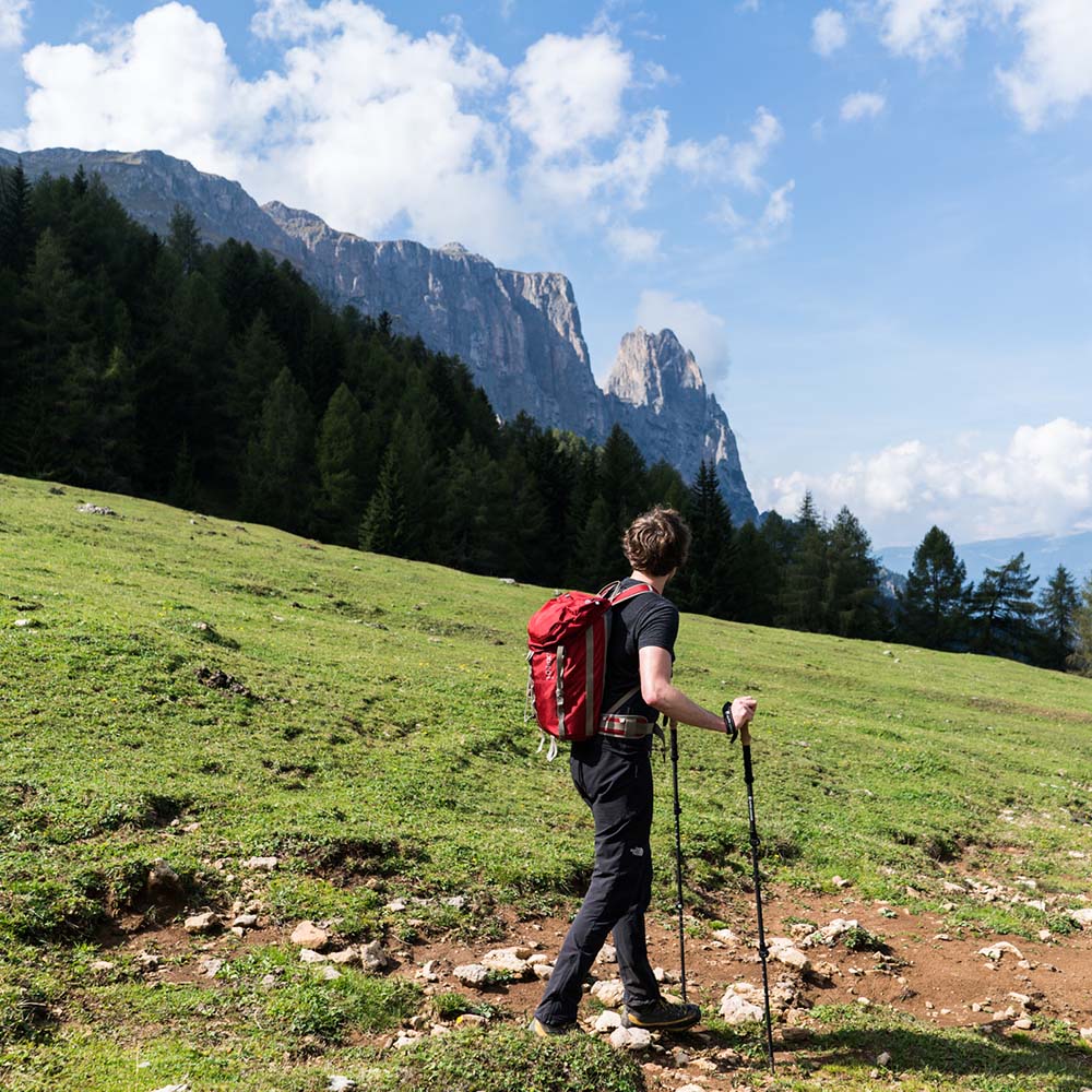 Teleskop Wanderstöcke kaufen – Verstellbare Trekkingstöcke | Alpin Loacker