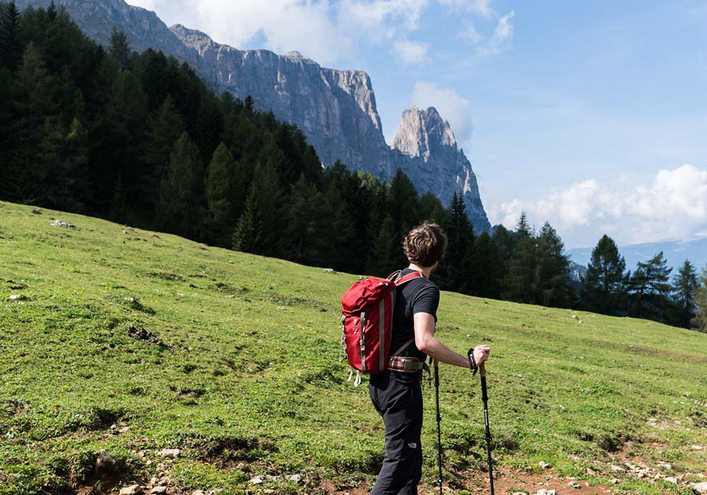 Teleskop Wanderstöcke kaufen – Verstellbare Trekkingstöcke | Alpin Loacker