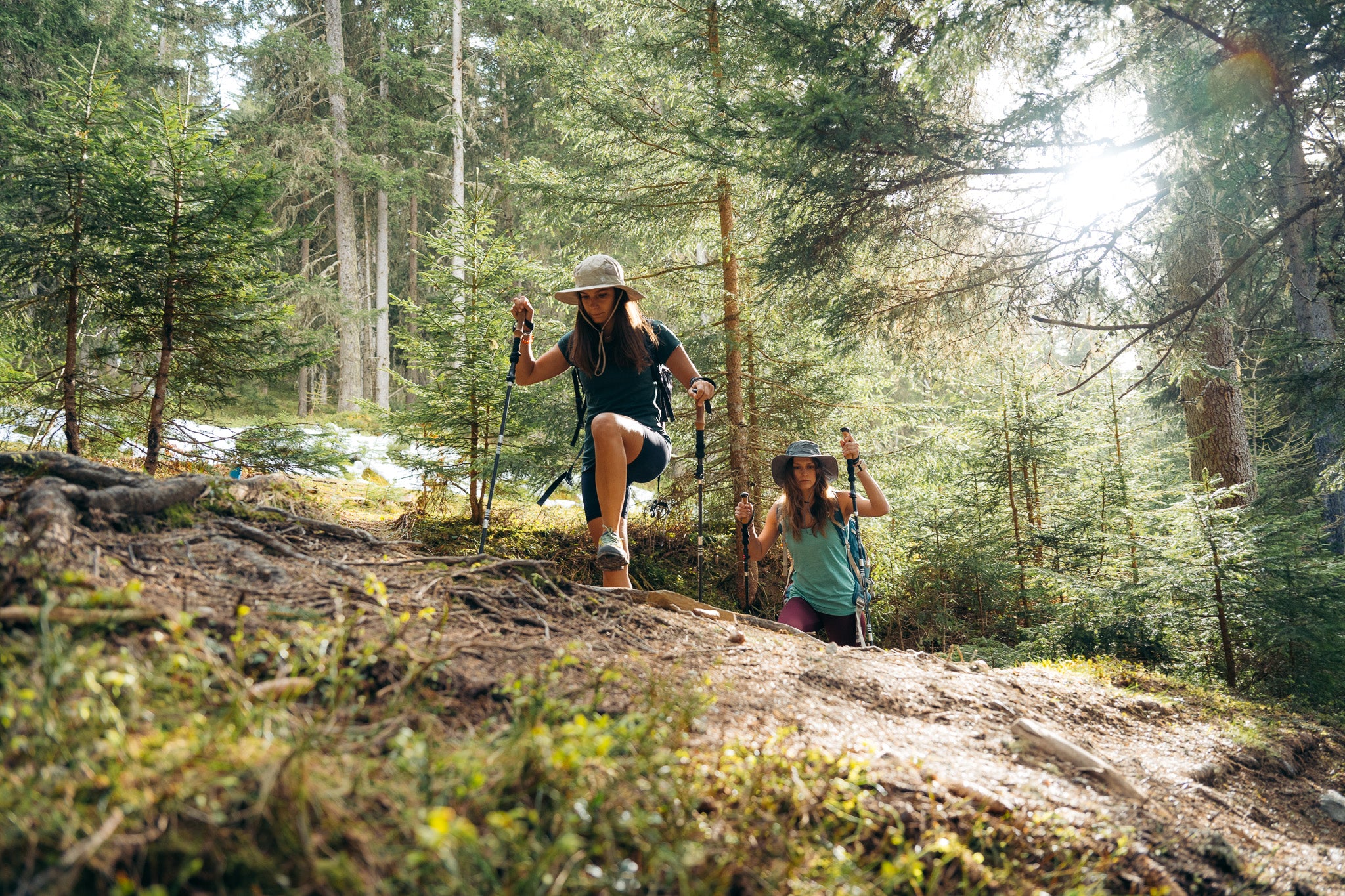Merino Bestseller Damen – Meistgekaufte Merinowolle Bekleidung | Alpin Loacker